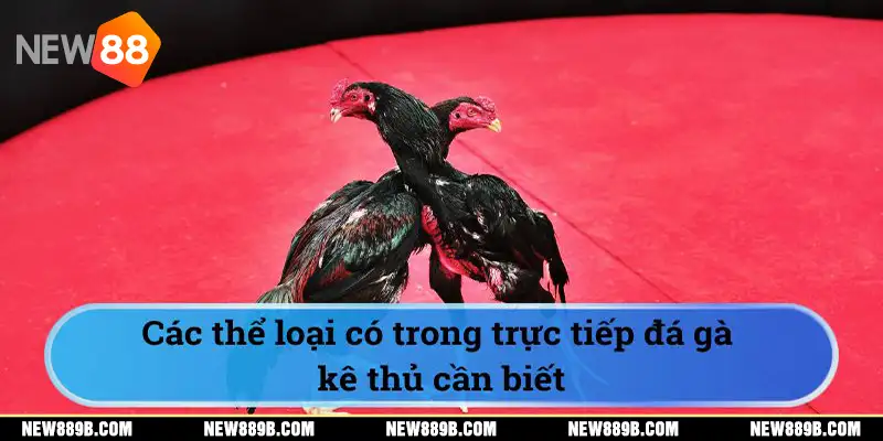 Các thể loại có trong trực tiếp đá gà kê thủ cần biết