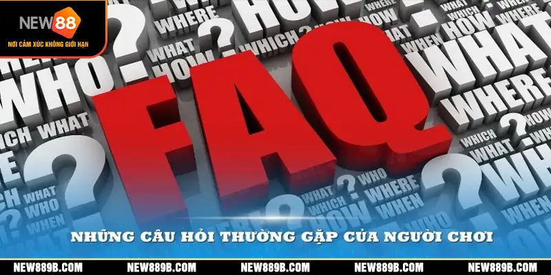 giai-dap-nhung-cau-hoi-thuong-gap-cua-nguoi-choi-bang-cach-trai-nghiem-thuc-te