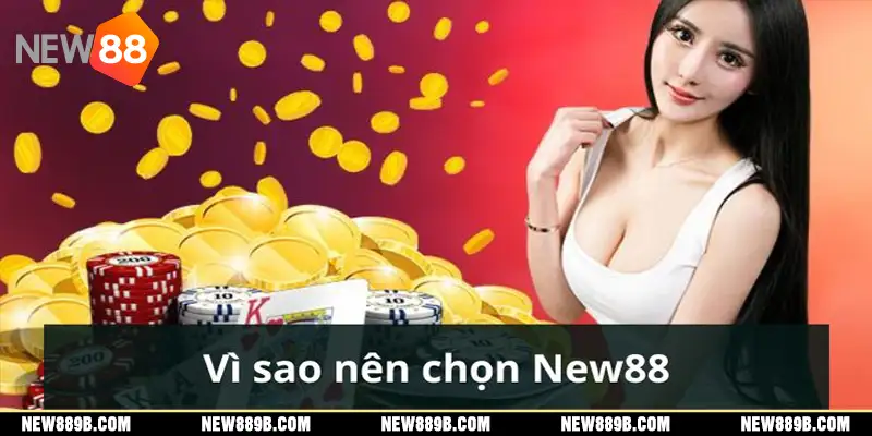 Về chúng tôi - Những lý do bạn nên chọn New88