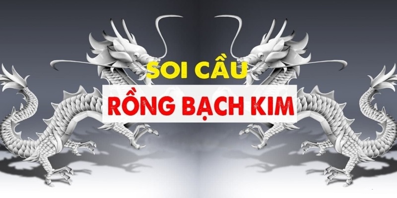  4 tips cao thủ soi cầu rồng bạch kim hiệu quả