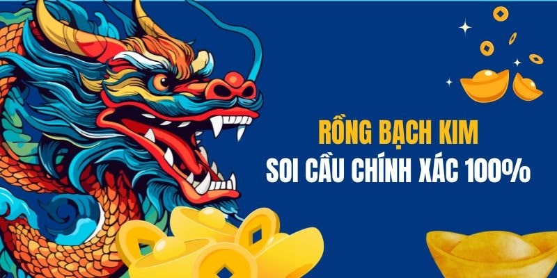 Lưu ý cho người chơi khi soi cầu rồng bạch kim