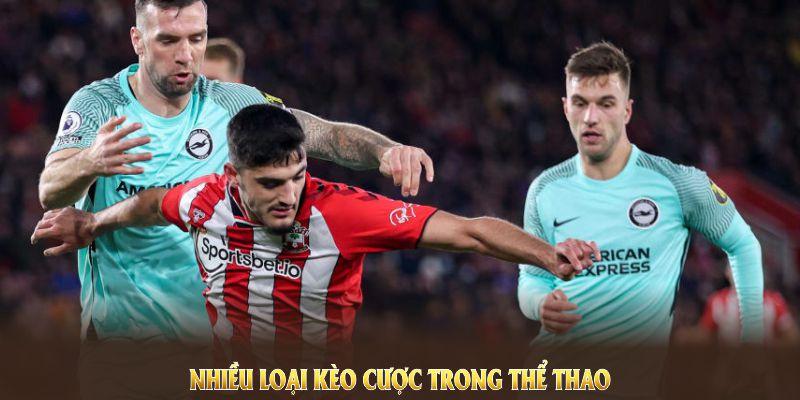 Nhiều loại kèo cược trong thể thao U888 mà bạn không nên bỏ lỡ